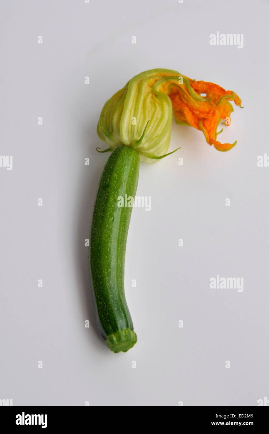 courgette with flower Stock Photo Alamy