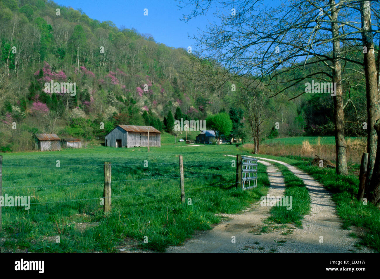 Near Slade, Kentucky 4 08 Stock Photo Alamy