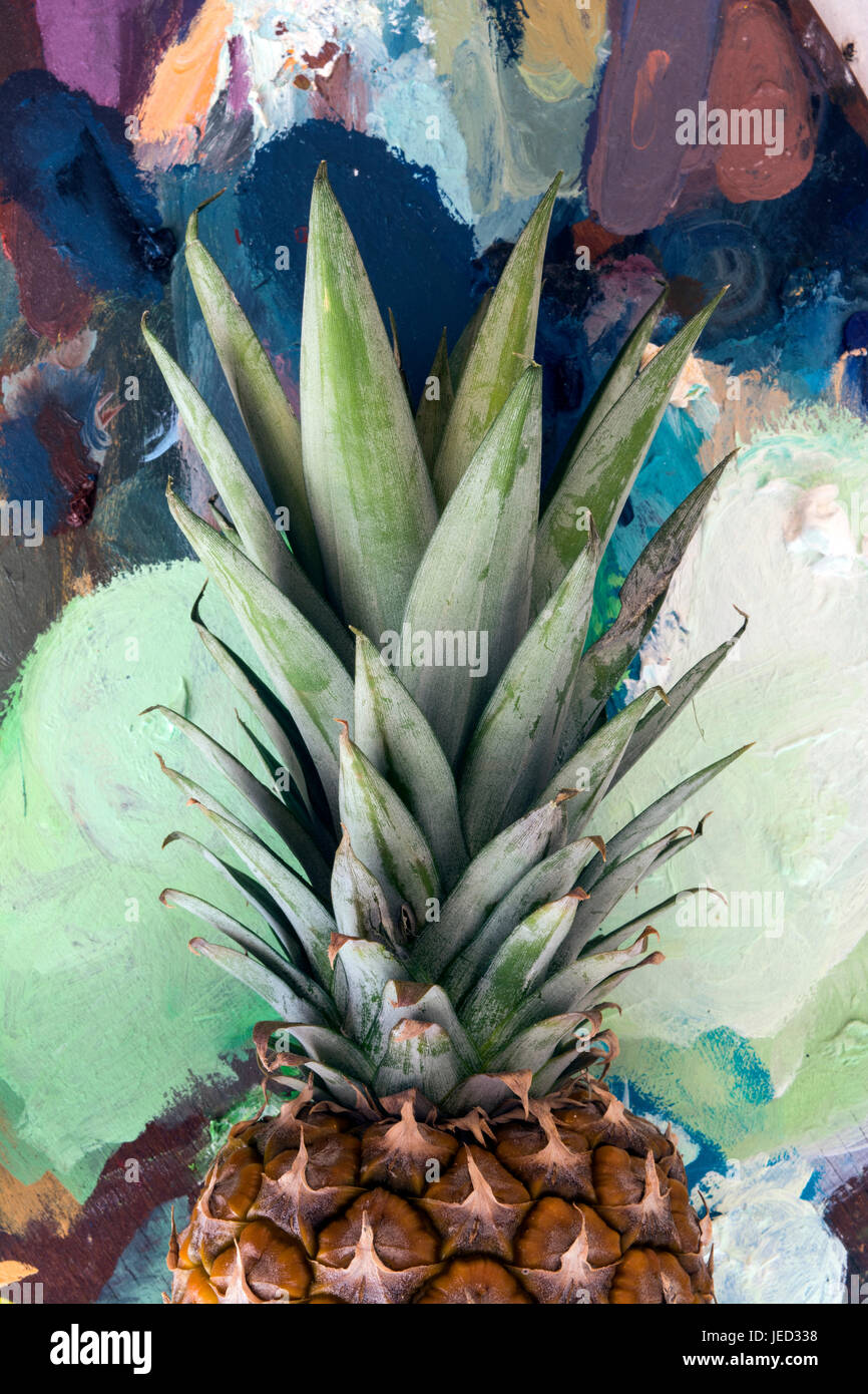 Pineapple art hires stock photography and images Alamy