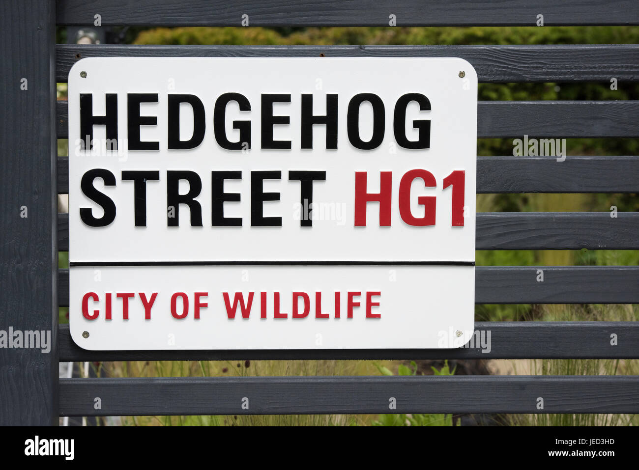 Hedgehog street sign on a small display garden fence in RHS Harlow Carr gardens, Harrogate. UK Stock Photo