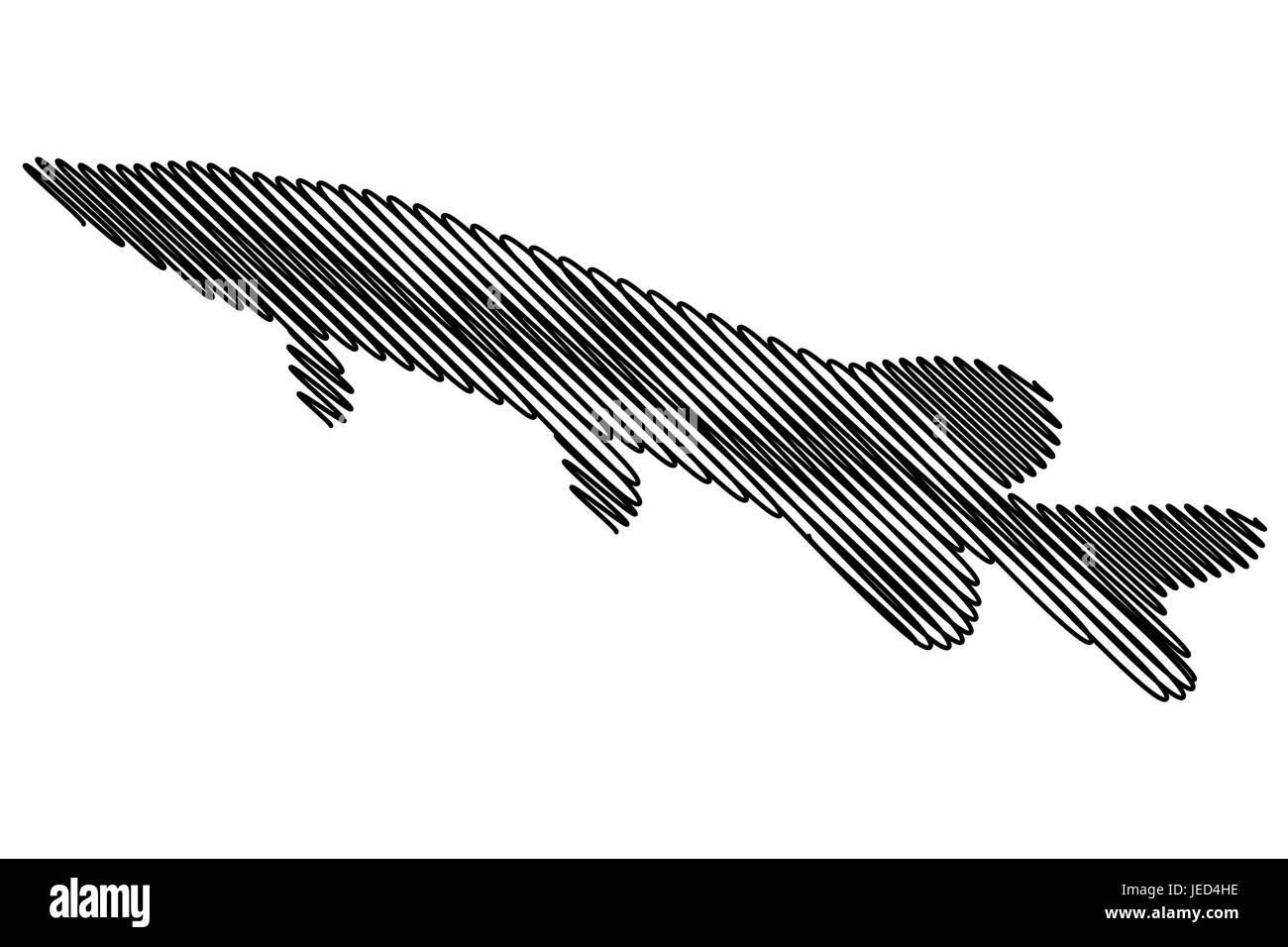 pike silhouette vector, (Esox lucius), Stock Vector