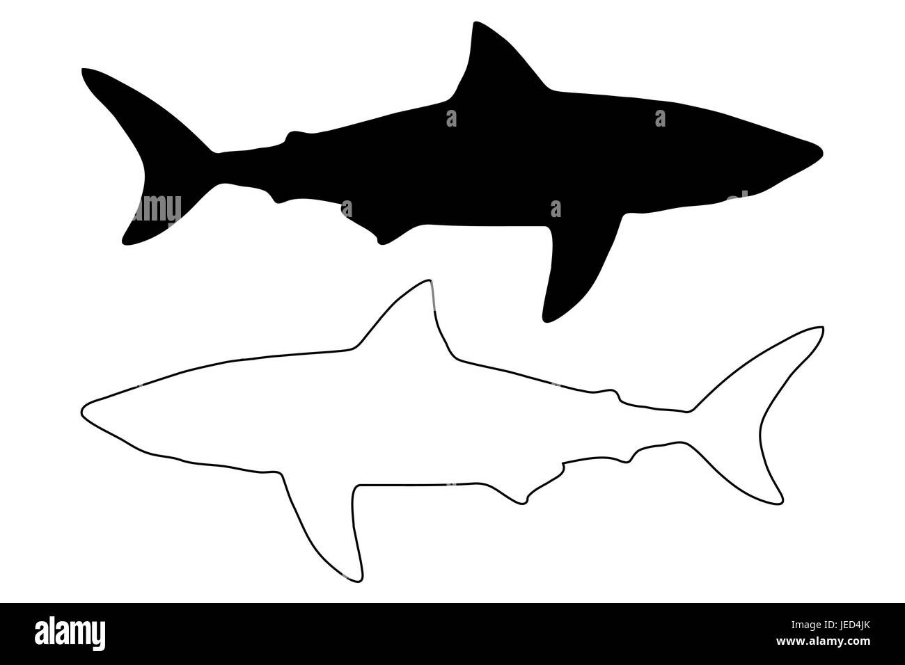 shark silhouette vector, silhouette fish, Stock Vector