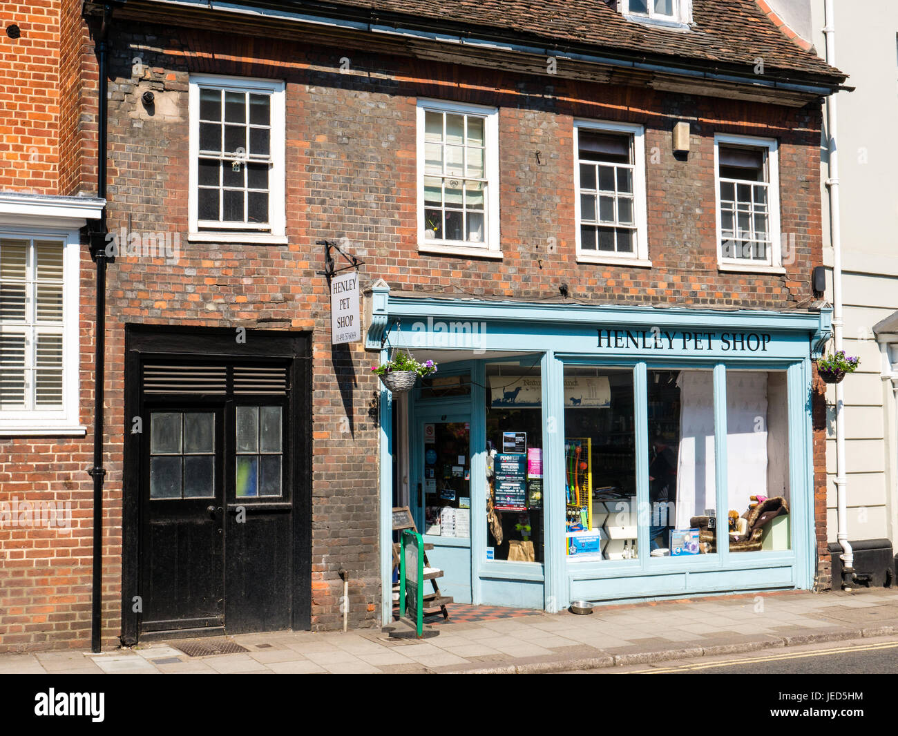 erdington reptile shop