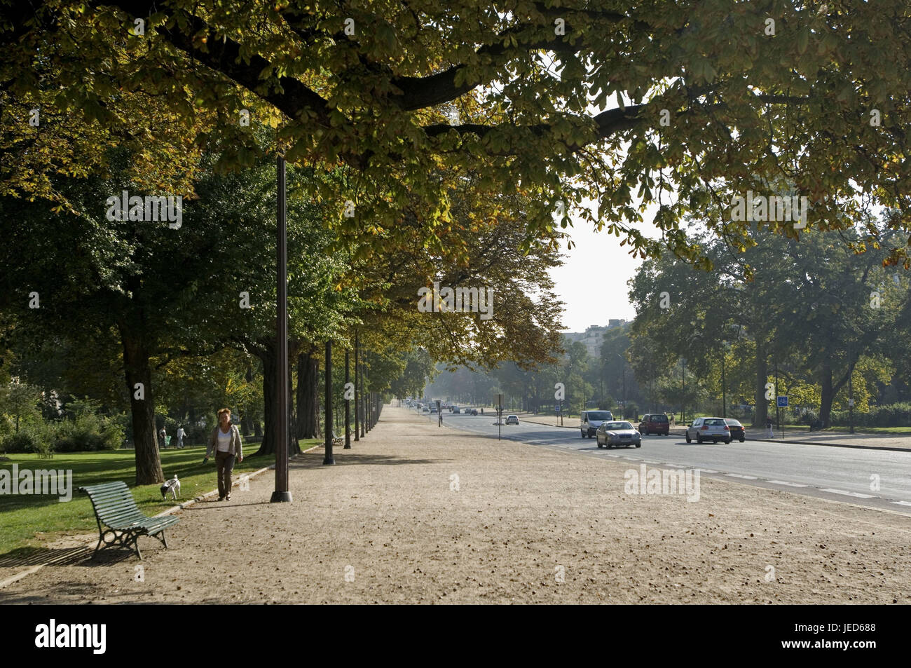 France, Paris, avenue Foch, traffic, sidewalk, pedestrian, dog, no model release, Stock Photo