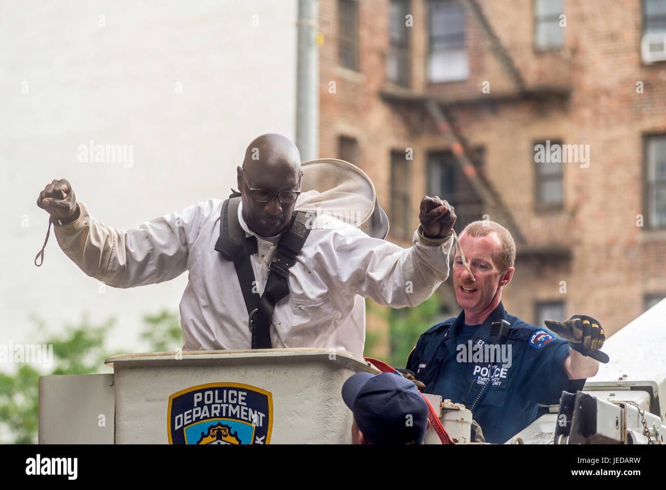 Beekeeper suits hires stock photography and images Alamy