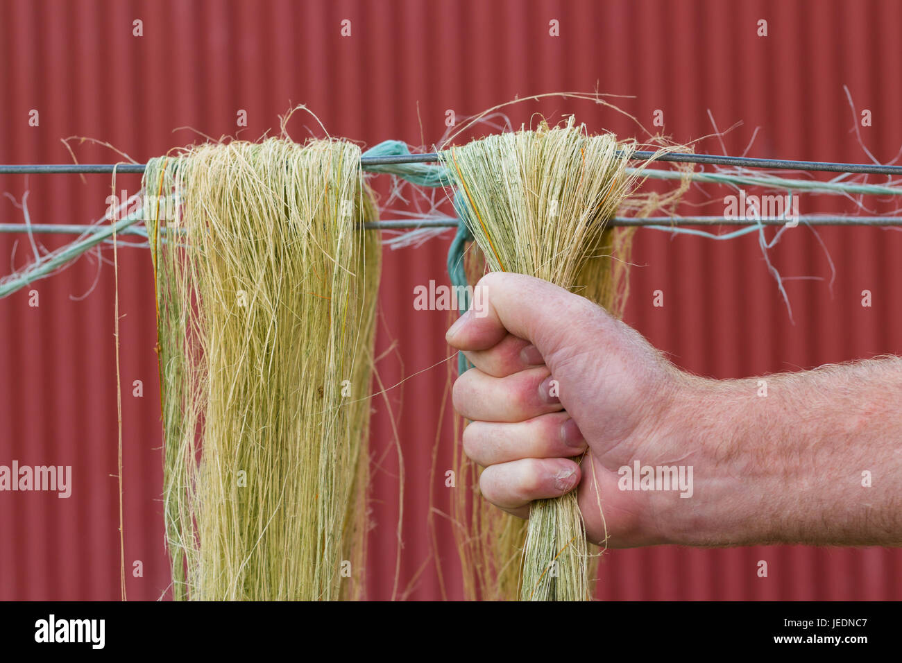 Strong together grip hi-res stock photography and images - Alamy