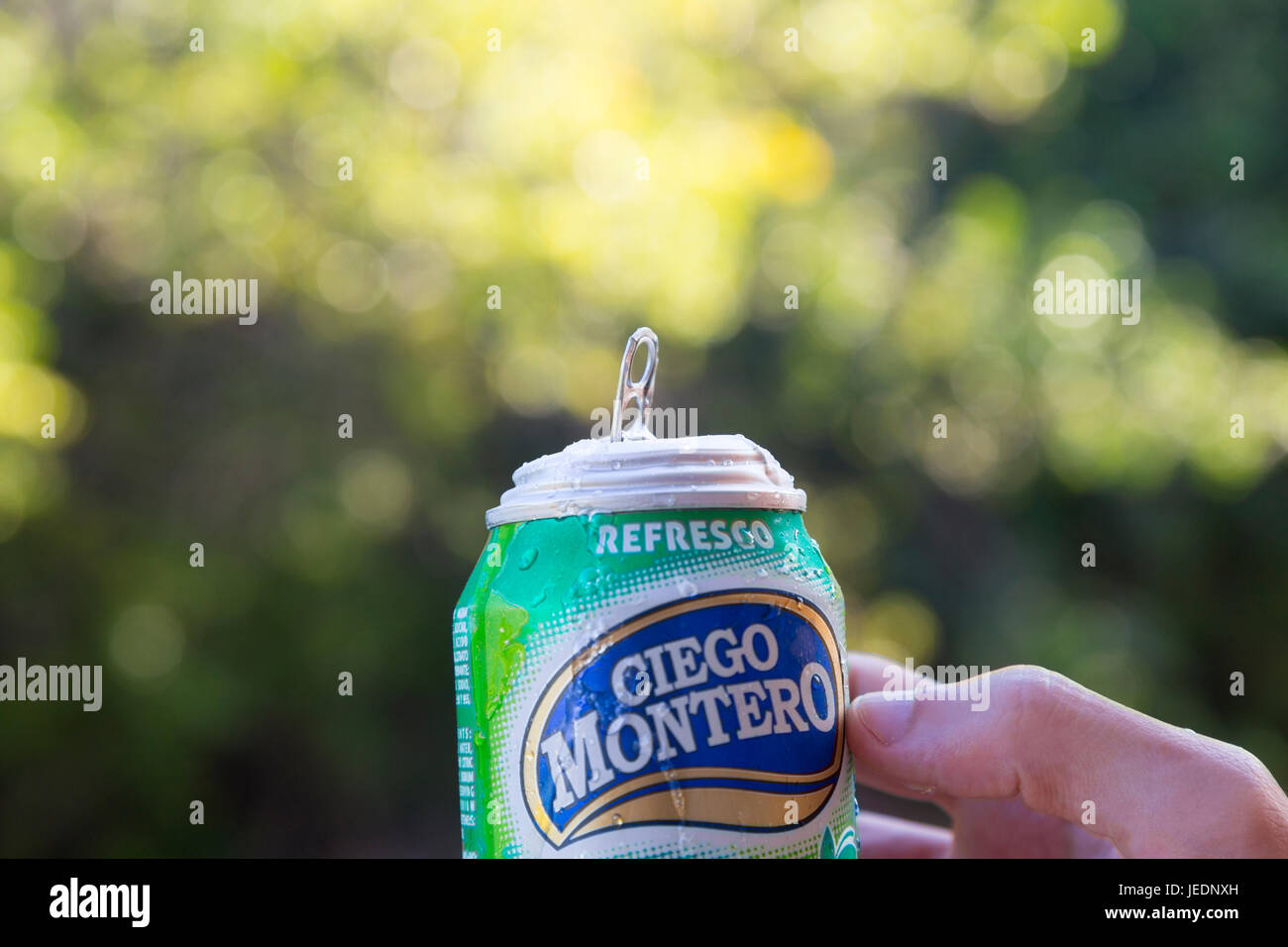 Ciego montero cuban soda can Stock Photo - Alamy