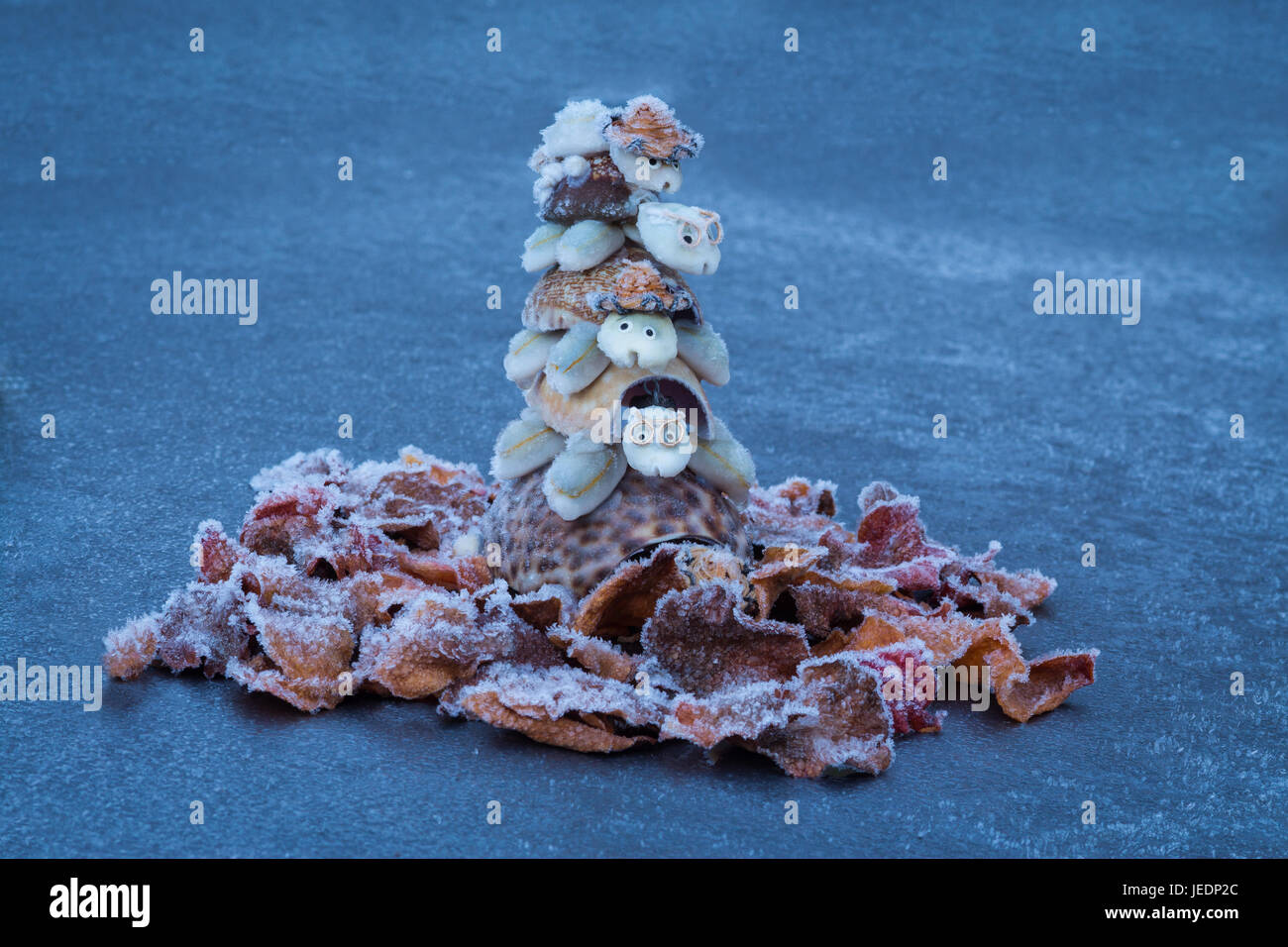 Frozen up shell turtles stack with ice up pedals around them. Stock Photo