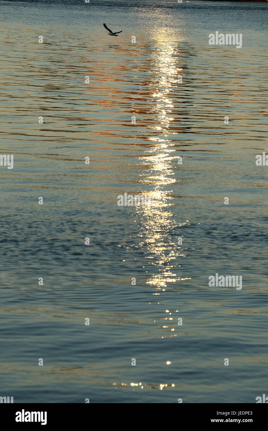 Reflections on water during sunset Stock Photo