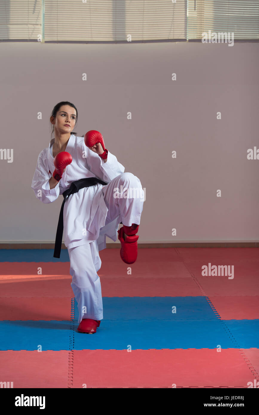 Black belt karate moves top