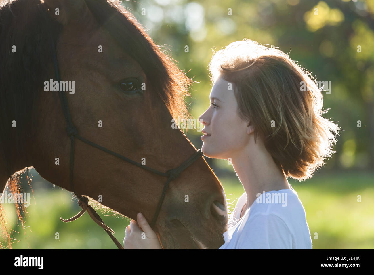 Profiles of young woman and horse at backlight Stock Photo