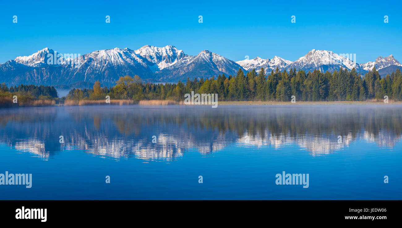 Morgenstimmung am Hopfensee, bei Fuessen, Ostallgaeu, Allgaeu, dahinter die Allgaeuer Alpen, Bayern, Deutschland, Europa Stock Photo
