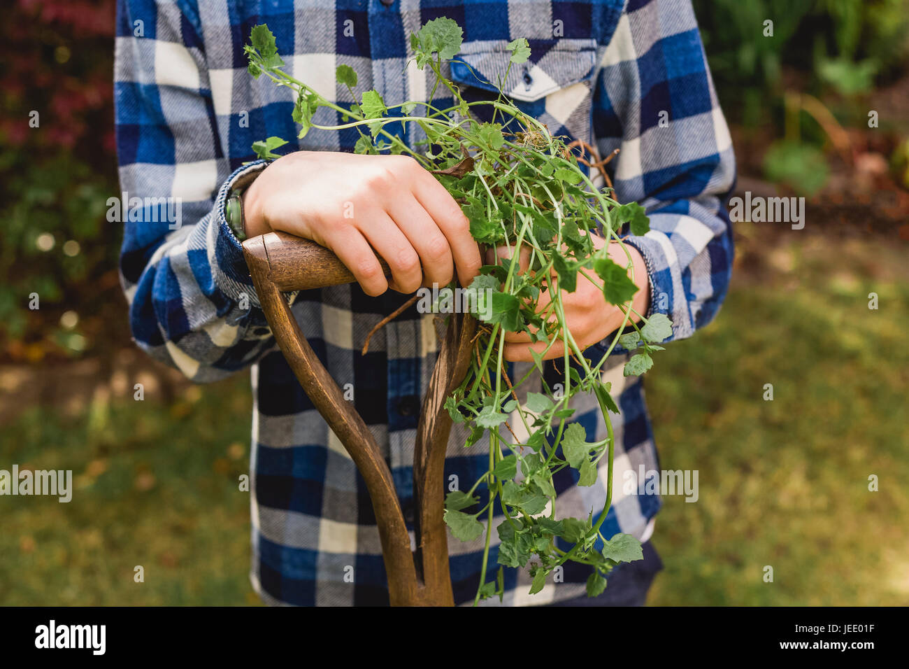 Boy holding a spade and plants Stock Photo