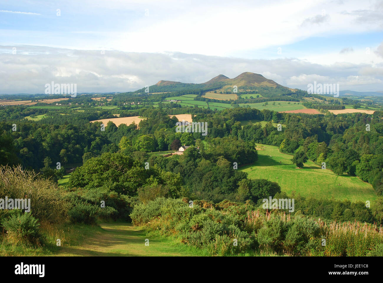 Eildon Hills and Scottish Borders countryside from Scotts View Stock ...