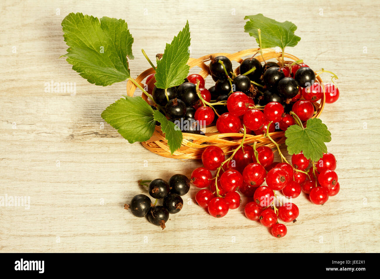 Black and red currant on a light background, close-up Stock Photo