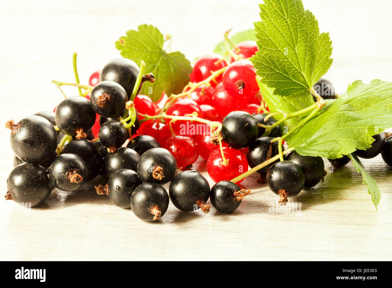 Black and red currant on a light background, close-up Stock Photo
