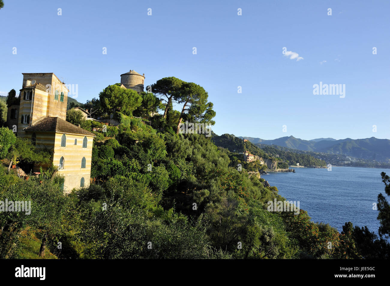 Italy, Liguria, Riviera Tu the Levant, Portofino, view of the wooded coast on the sea, Stock Photo