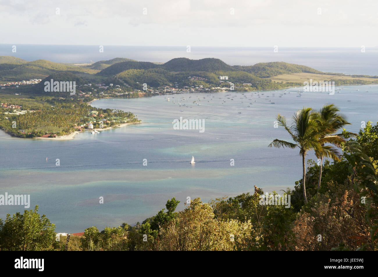 Martinique, panoramic view at Cul de Sac you Marine, Stock Photo