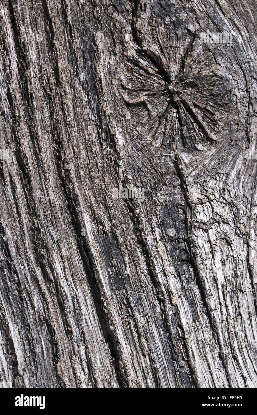 wooden springboard, old, weather-beaten, structure, close up Stock ...