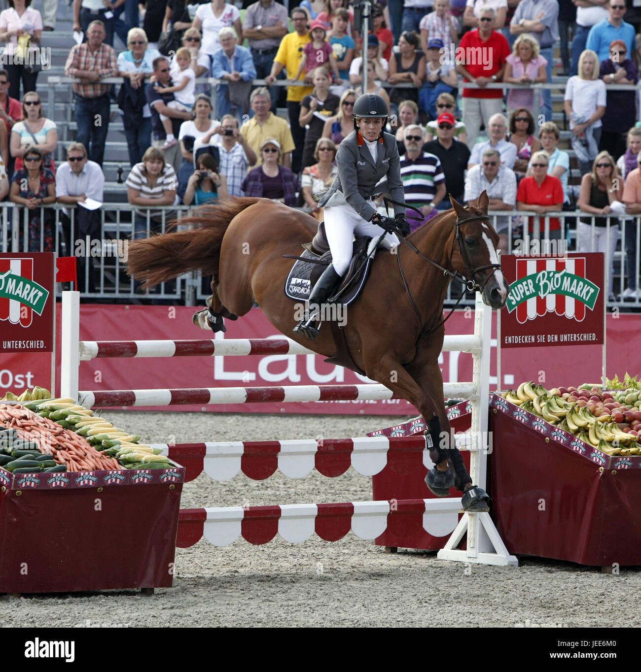 Horse-racing, German championships jumping and training in 2010 in Münster, Springreiterinnen, Meredith Michaels-Beerbaum on Le Mans 8, 2nd square, silver medal, Stock Photo
