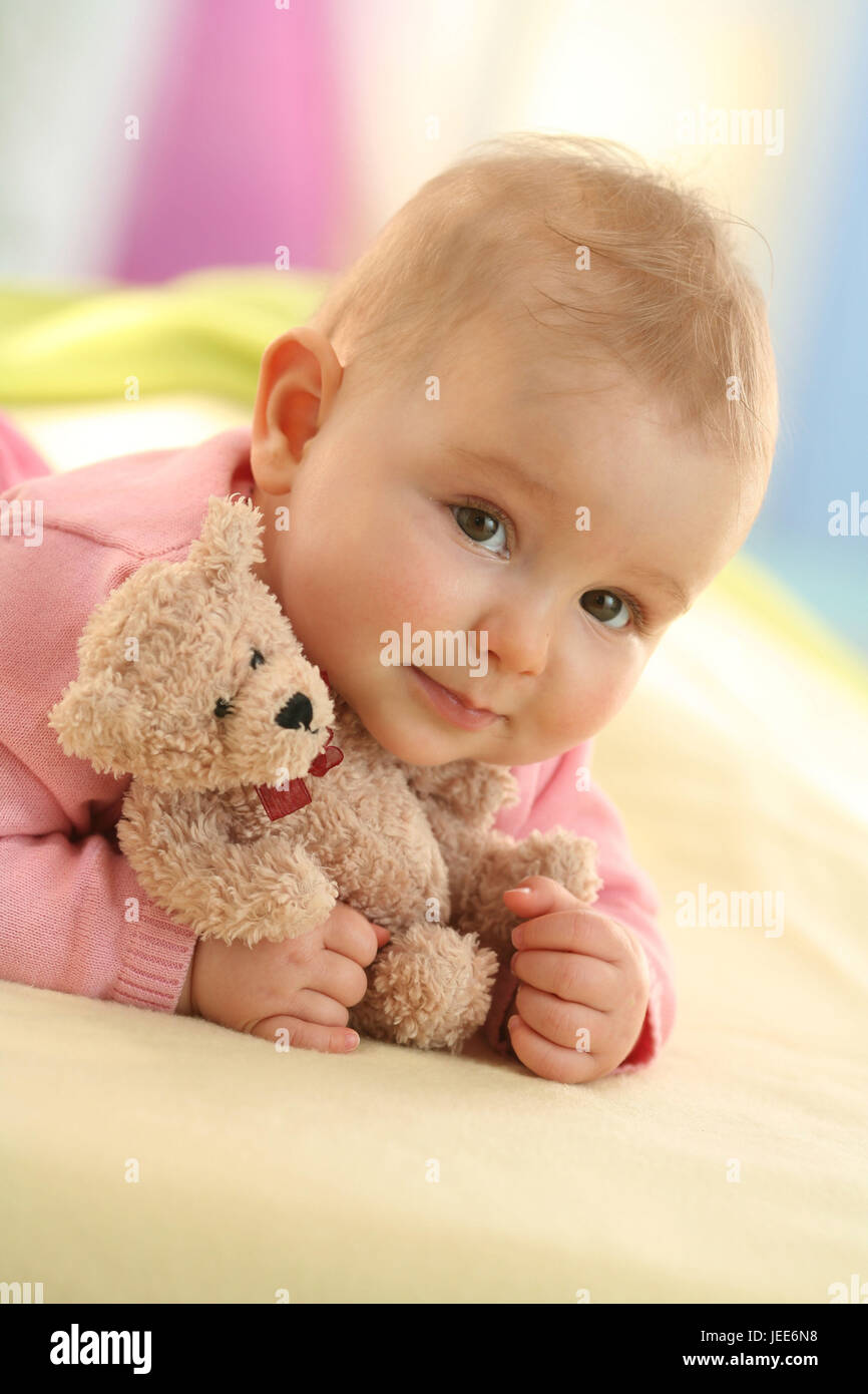 Baby, 5 months, happily, view camera, soft animal, Stock Photo