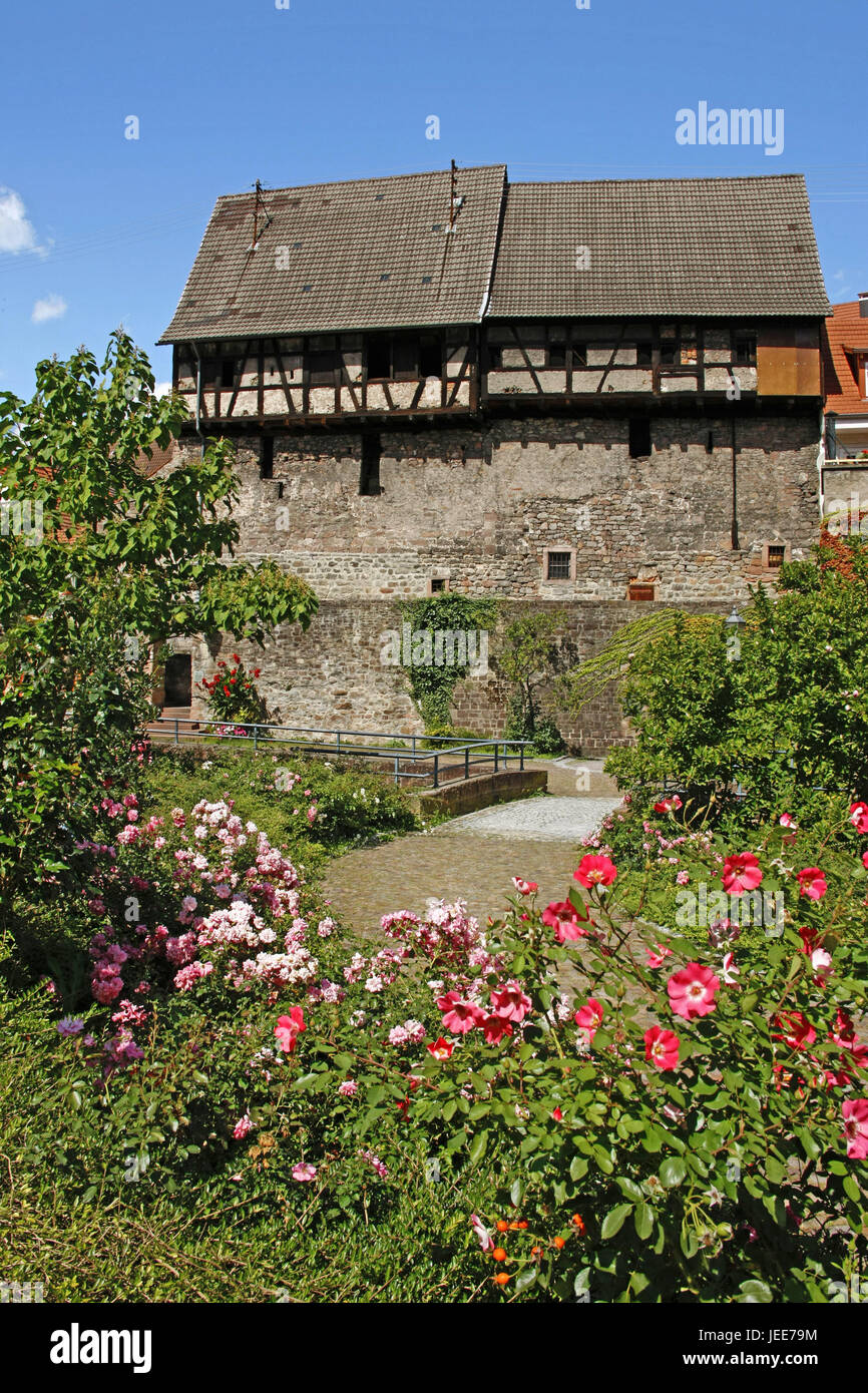 Germany, Baden-Wurttemberg, brook Gerns, Old Town, tenth barn, Middle Ages, half-timbered house, house, building, old, shrub, flowers, blossoms, pink, pink, bridge, Stock Photo