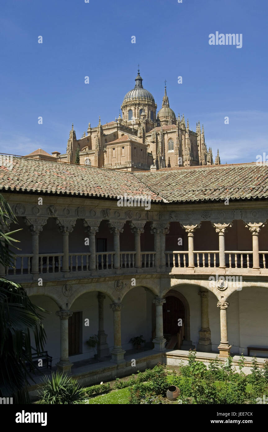 Cloister Reading Duenas, inner courtyard, Salamanca, Castile and Leon, Spain, Stock Photo