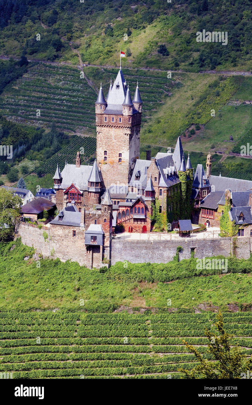 Germany, the Moselle, Cochem, vineyards, imperial castle, Rhineland-Palatinate, Moselle valley, hill, castle, castle grounds, building, structure, architecture, place of interest, destination, tourism, wine-growing area, vineyards, annex, wine, agriculture, viticulture, Stock Photo