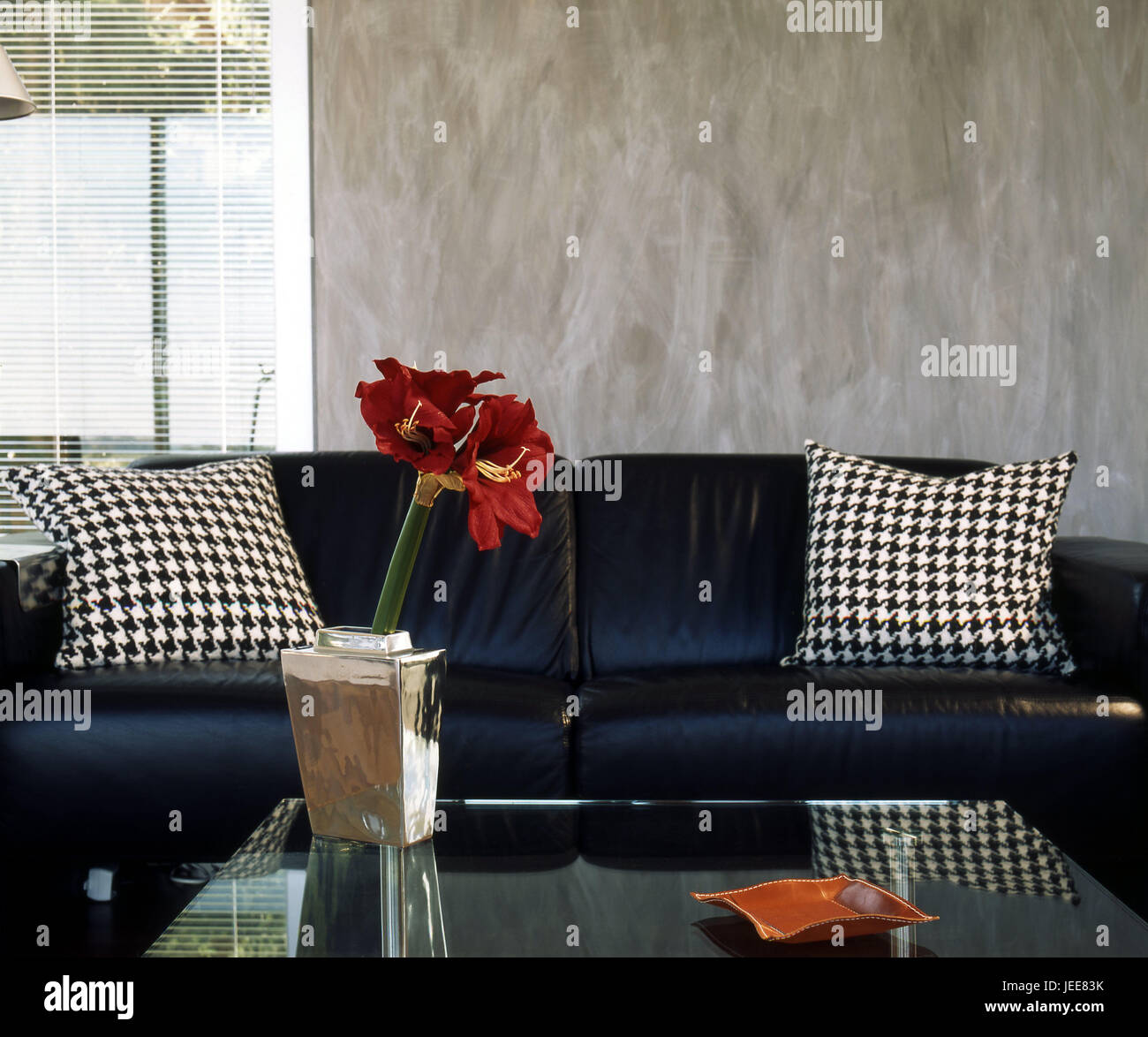 Summer Cottage Sitting Room Leather Sofa Black Cushions Coffee Summer Cottage Sitting Room Leather Sofa Black Cushions Coffee Table Flower Vase Amaryllis Red Window Venetian Blind Single Family Dwelling