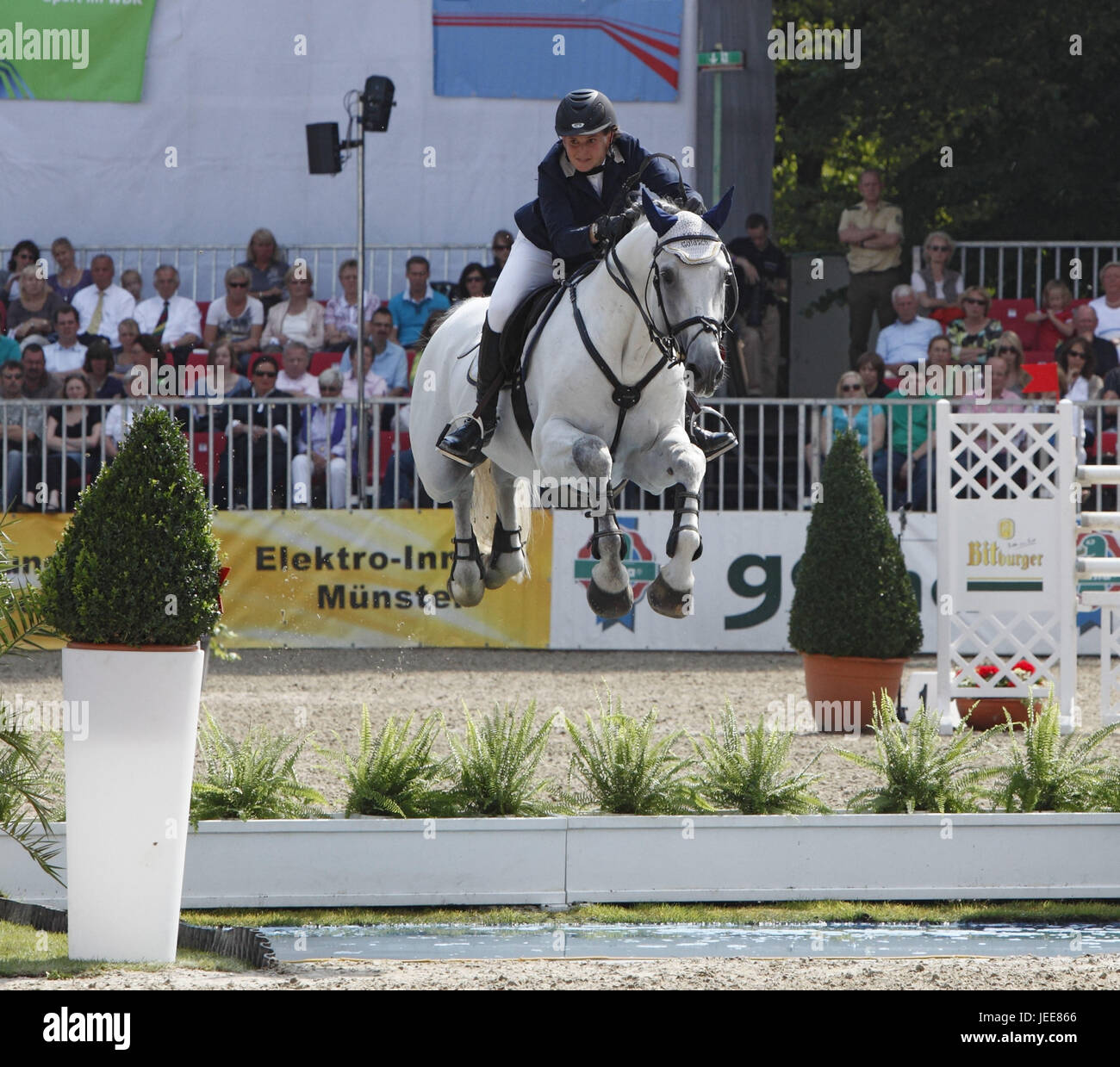 Springreiterinnen hires stock photography and images Alamy