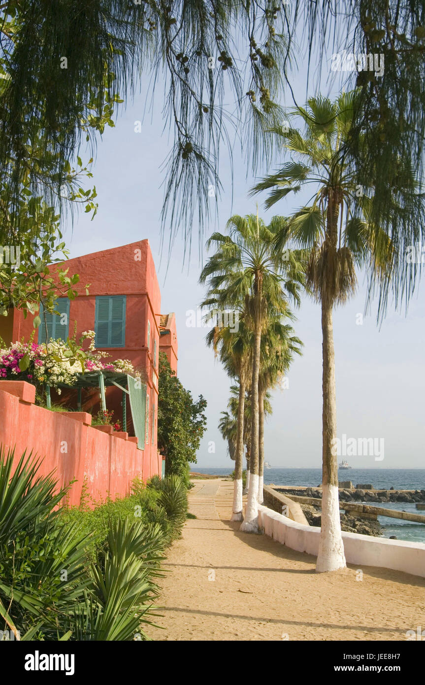 Sea, local view, promenade, palms, harbour, island Goree, Senegal, Stock Photo