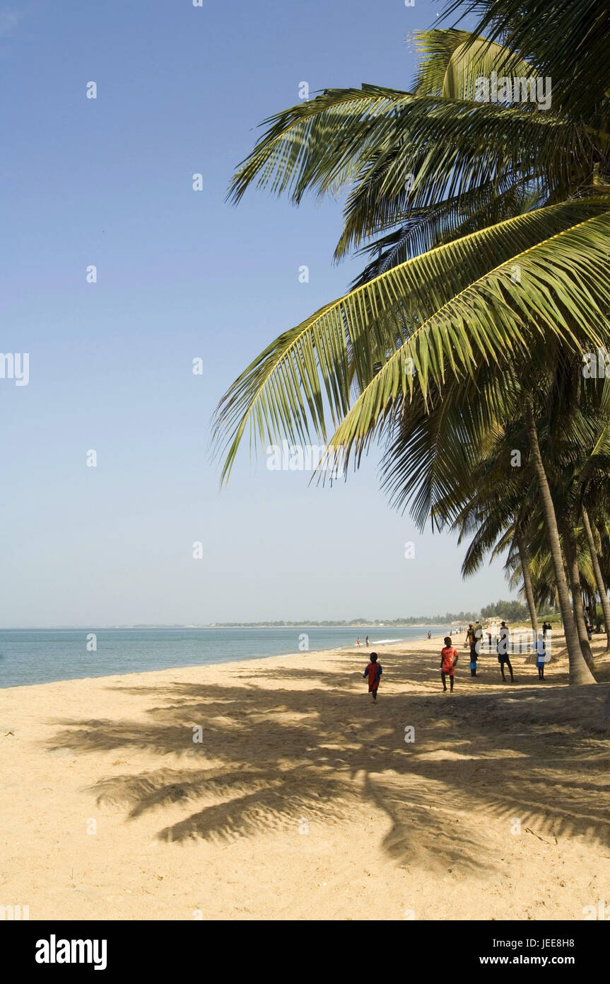 Sea, palm beach, Nianing, Petite Cote, Senegal, Stock Photo