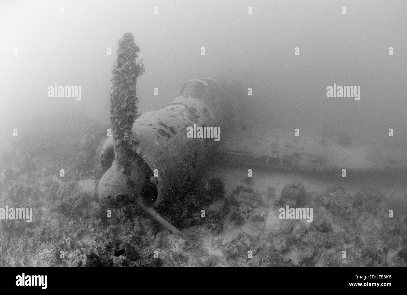 Papua New Guinea, Neuirland, Nakajima B5N2, 'Kate', aircraft wreck, sea, underwater recording, s/w, new Ireland, Kavieng, world war, aerial war, aerial battle, war, air force, aircraft, airplane, powerful striker, war airplane, Nakajima-B5N2, torpedo powerful striker, horizontal powerful striker, in Japanese, death, remains, wreck, site of the crash, crashed, submergedly, shot, destiny, expiration, past, war victim, sea, seabed, seabed, water, spread, skin-dive, forget, overgrows, place of interest, Stock Photo
