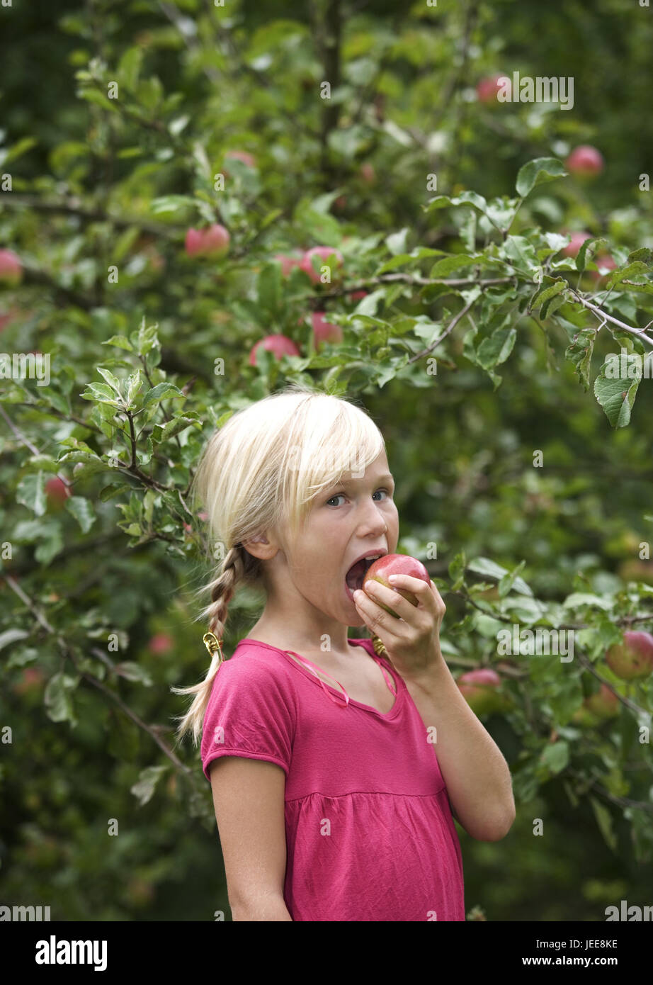 Girls, smile, eat apple, portrait, appletree, fruittree, person