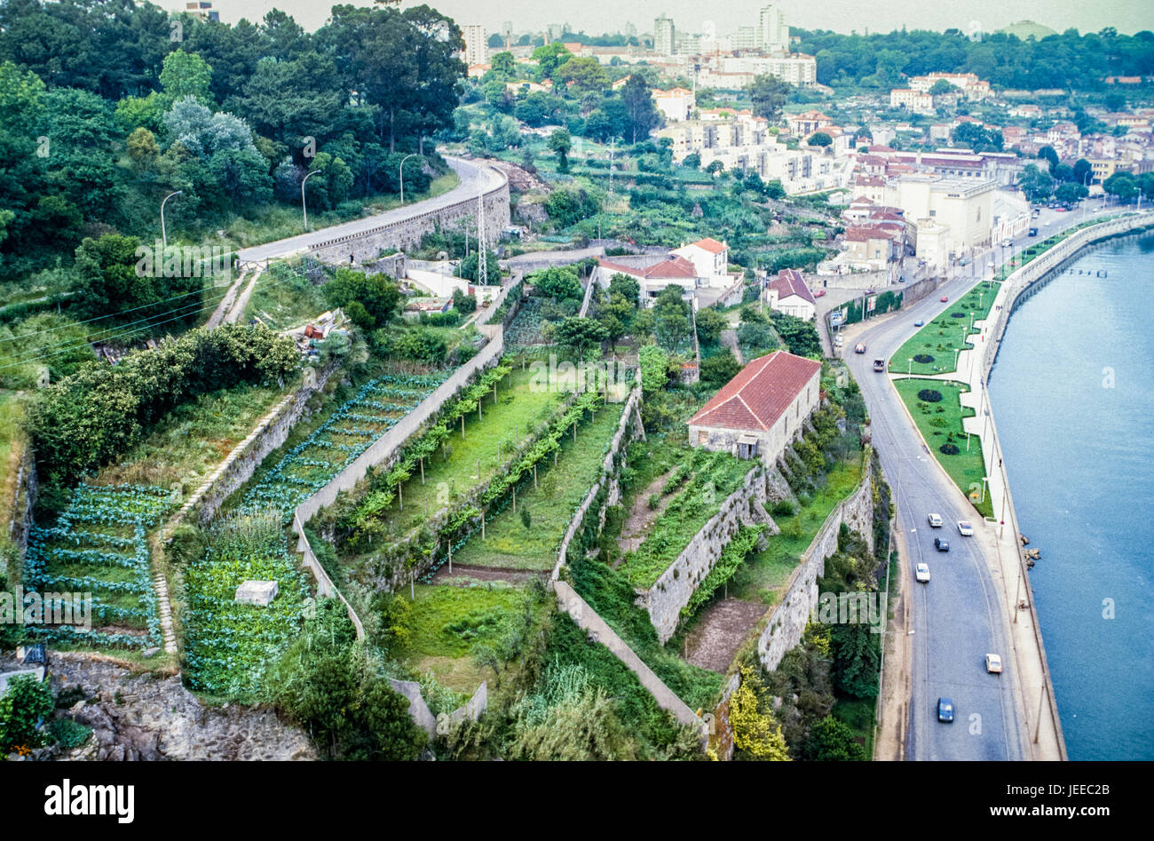 Neighborhood Gardends and Vinyards in Lisbon, Portugal beside the Tagus River.4 Stock Photo