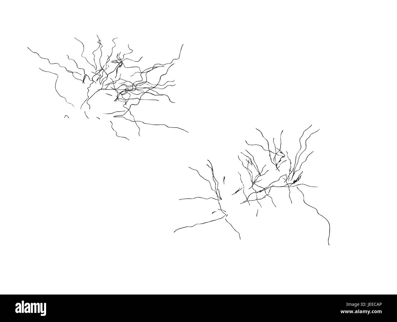 EPS 10 vector illustration of tree, plant silhouette Stock Vector Image ...