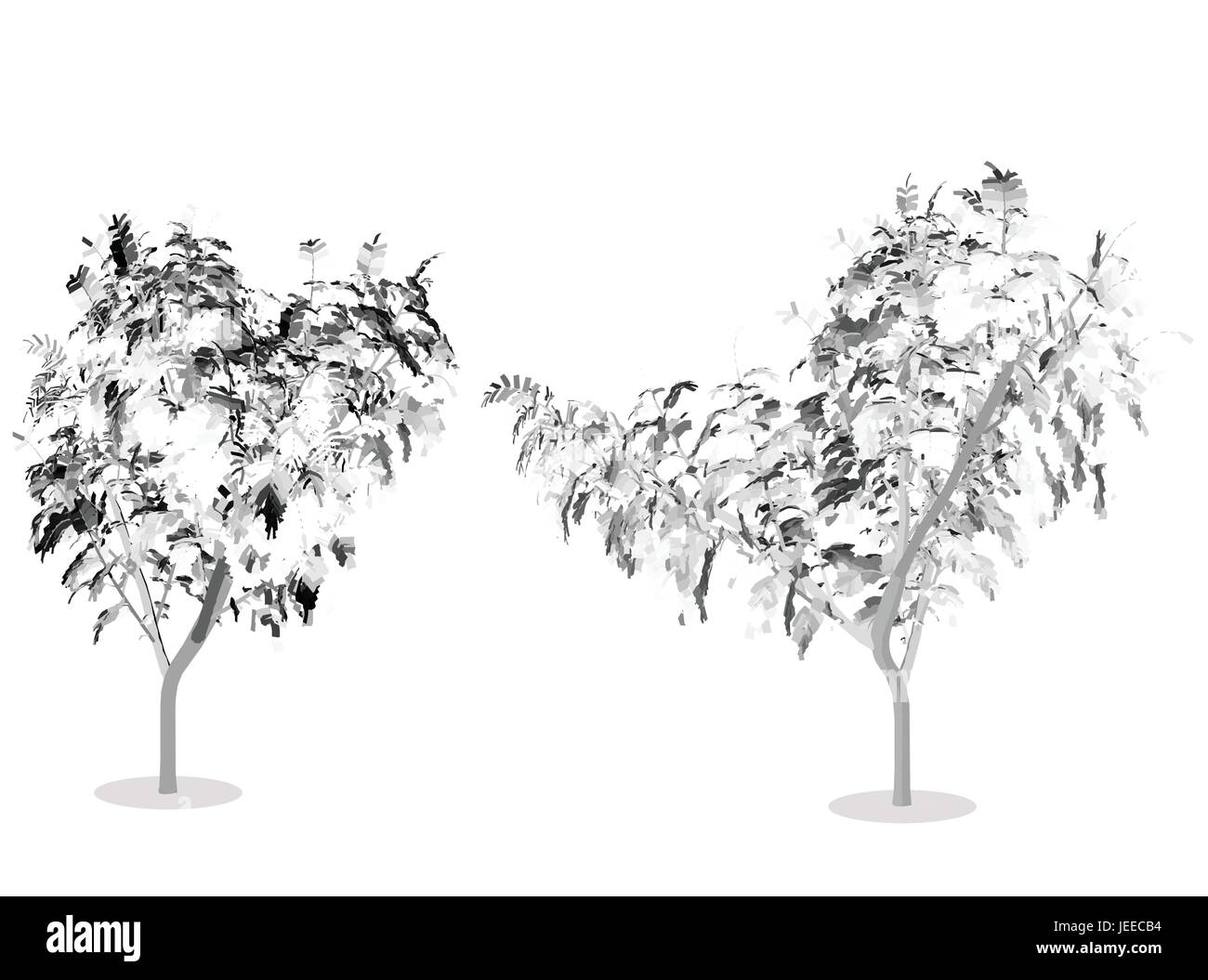 EPS 10 vector illustration of tree, plant silhouette Stock Vector