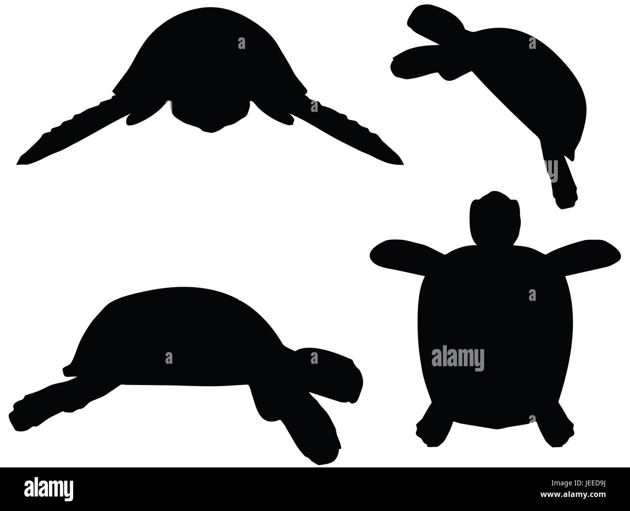 EPS 10 vector illustration of turtle, tortoise silhouette Stock Vector ...