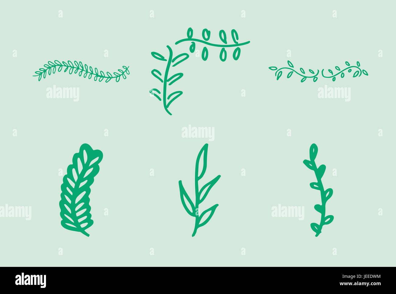Vector icon of various leaves Stock Vector Image & Art - Alamy