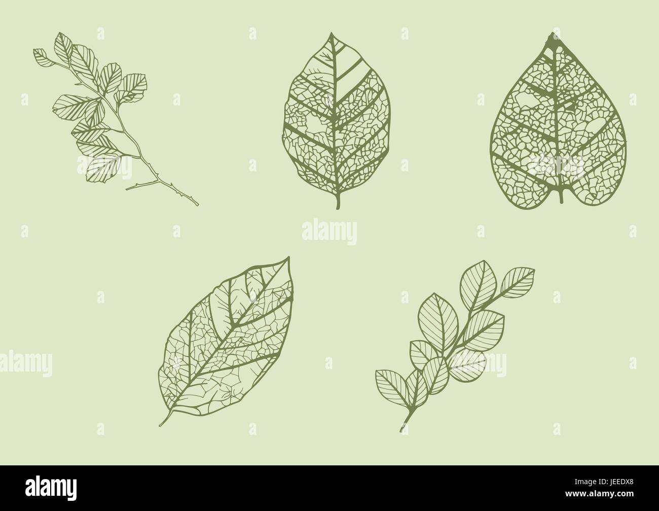 Vector icon of autumn leaves Stock Vector Image & Art - Alamy