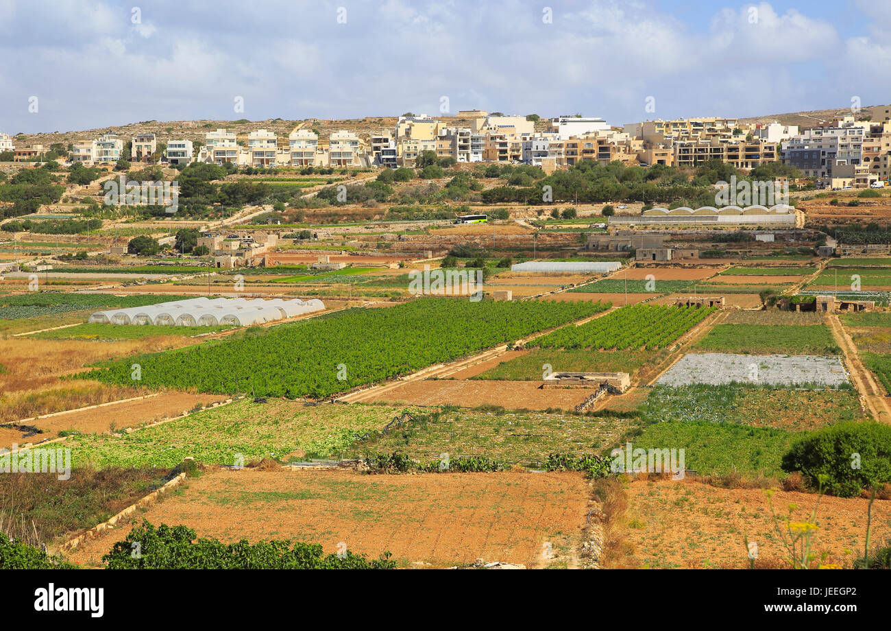 Fields agriculture malta hires stock photography and images Alamy