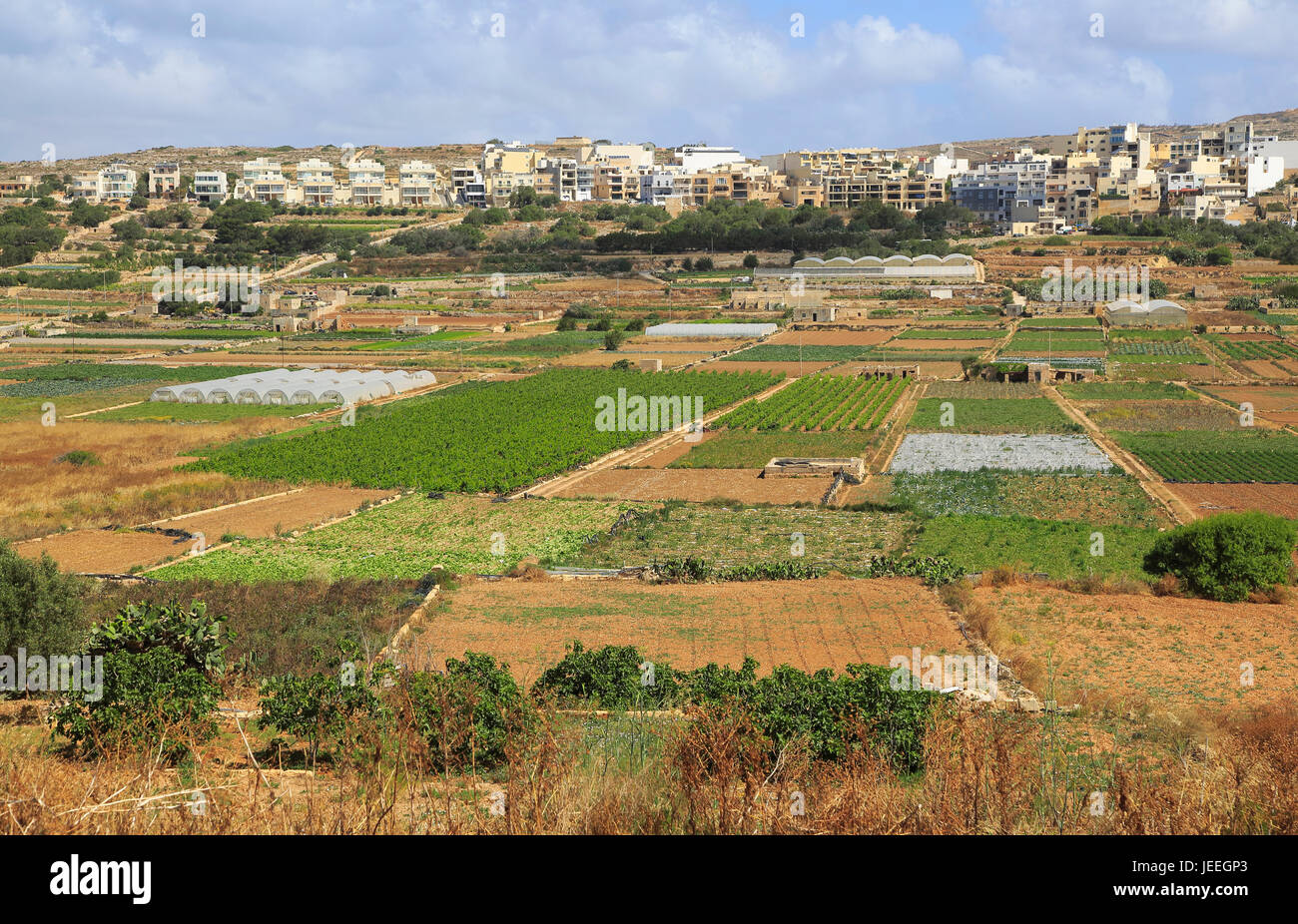 Crops in malta hires stock photography and images Alamy