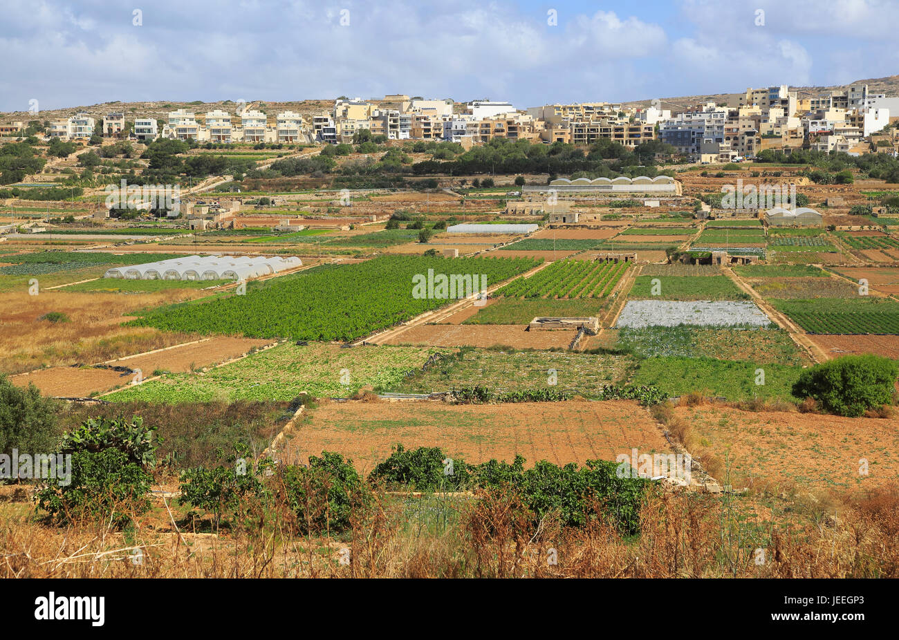 Fertile farm land in Pwales valley, St Paul's Bay, Ghajn Tuffieha, Malta  Stock Photo - Alamy
