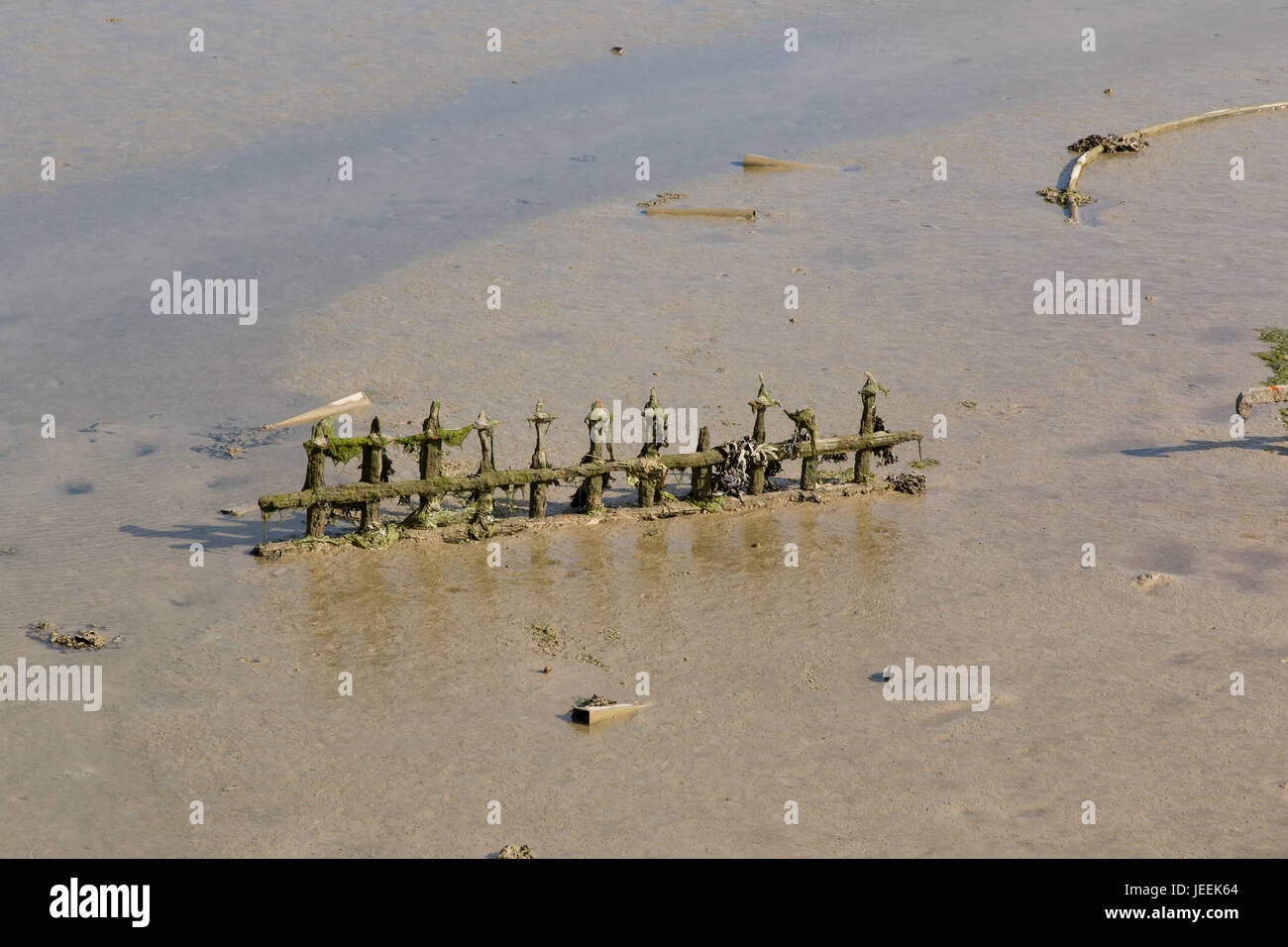Old fencing in mud at low tide at Tide Mills, Newhaven, East Sussex. Stock Photo