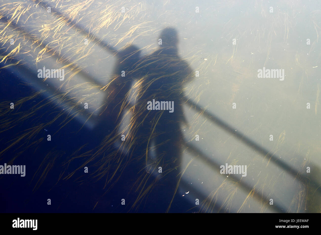 A shadow of a man standing on a bridge reflected in a river in the Norfolk countryside. Stock Photo