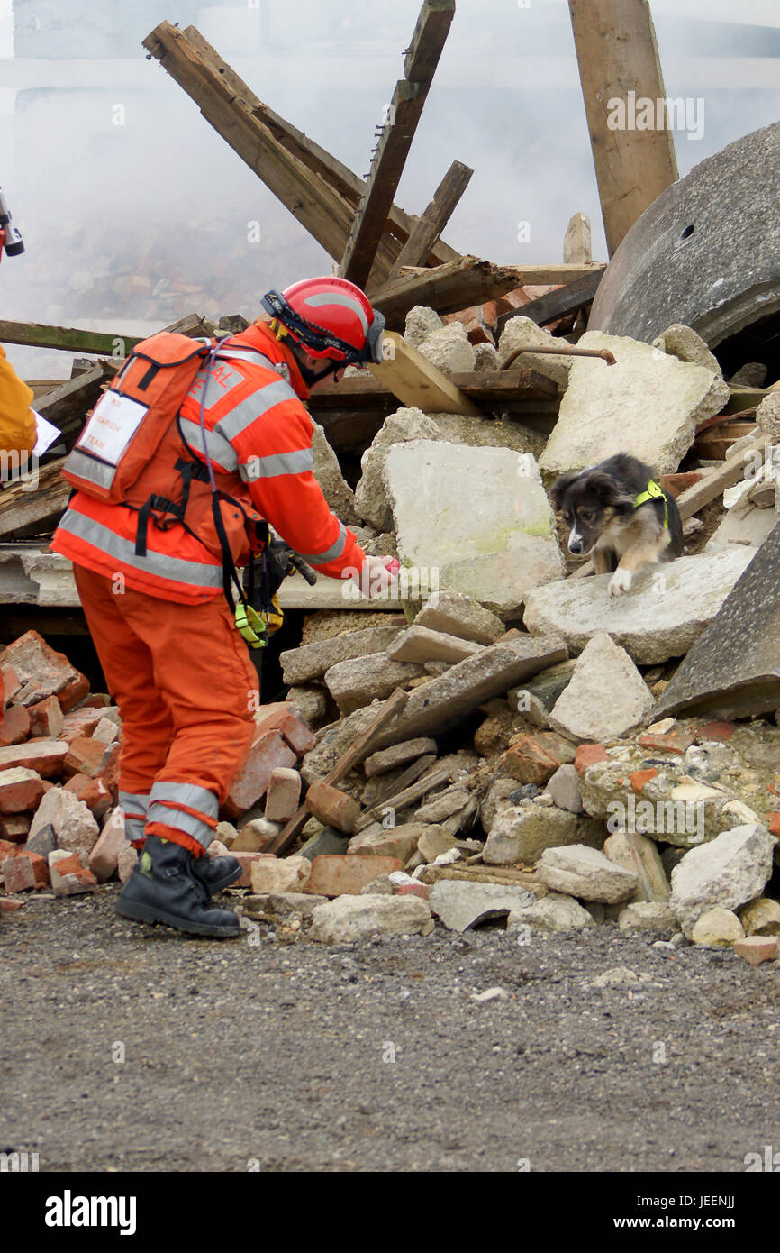 urban search and rescue dog handler, USAR Stock Photo