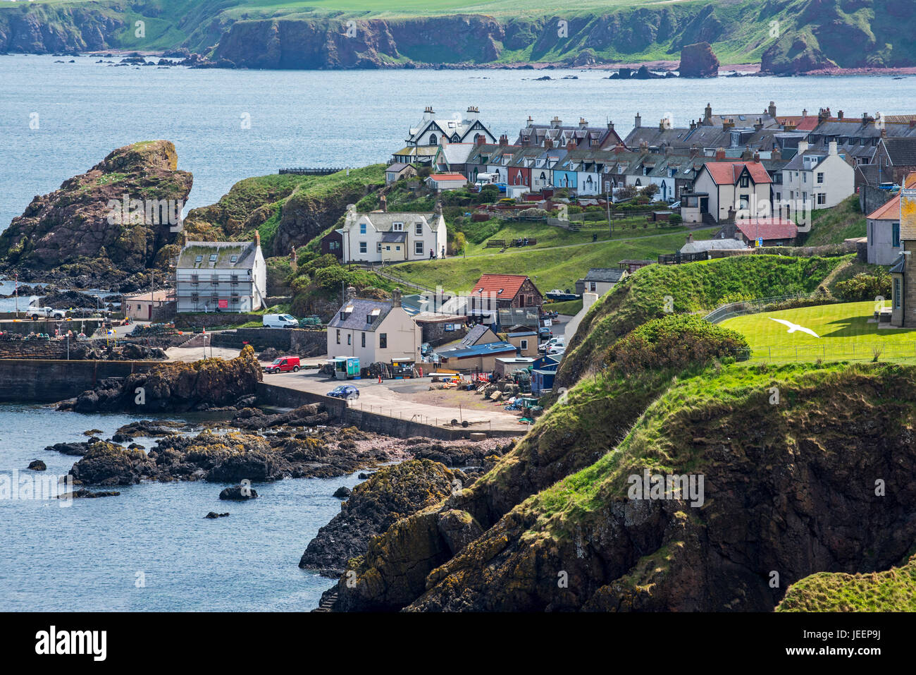 The fishing village of St Abbs seen from the southern side of St Abb's Head, Berwickshire, Scotland, UK Stock Photo