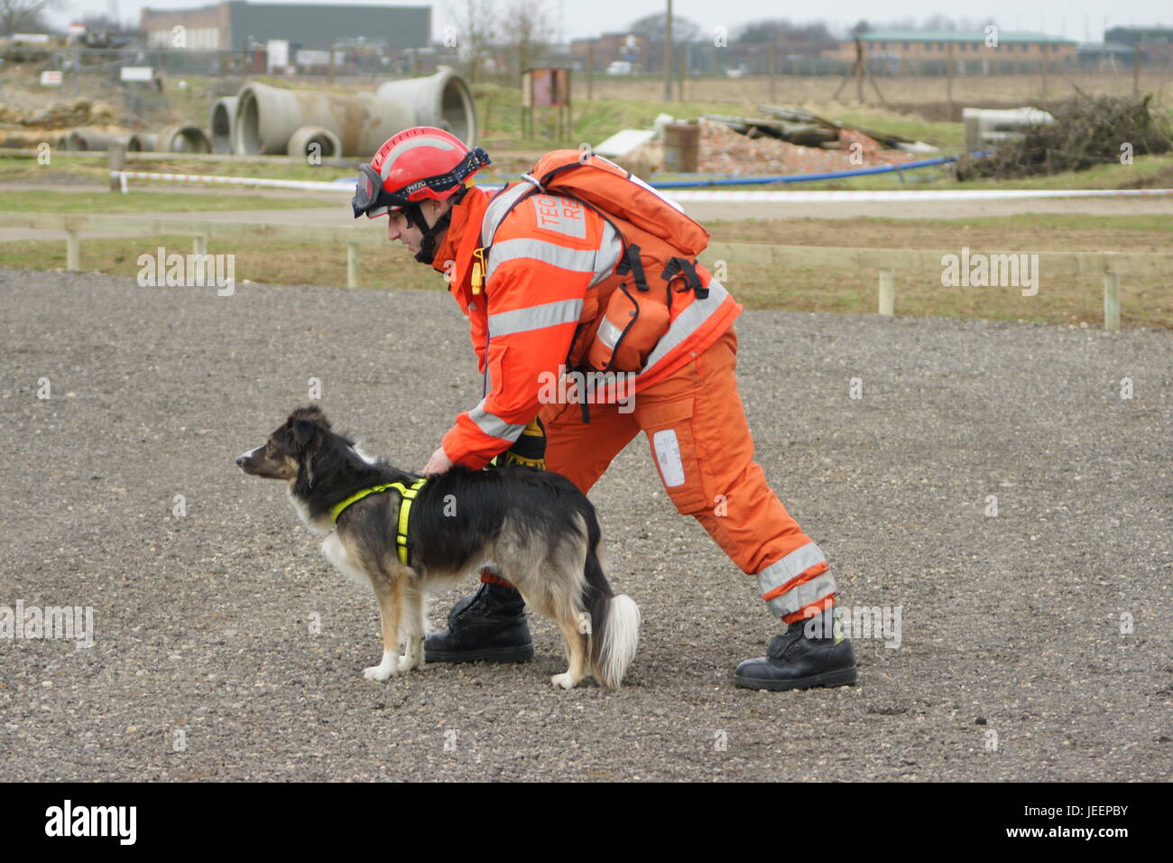 usar service dog