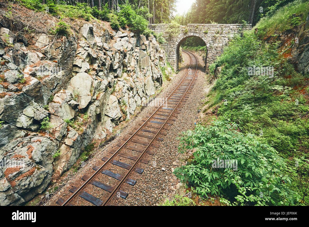 Forgotten bridge. Old stone bridge over the railroad track in the middle of the forest. Ore Mountains, Czech Republic Stock Photo
