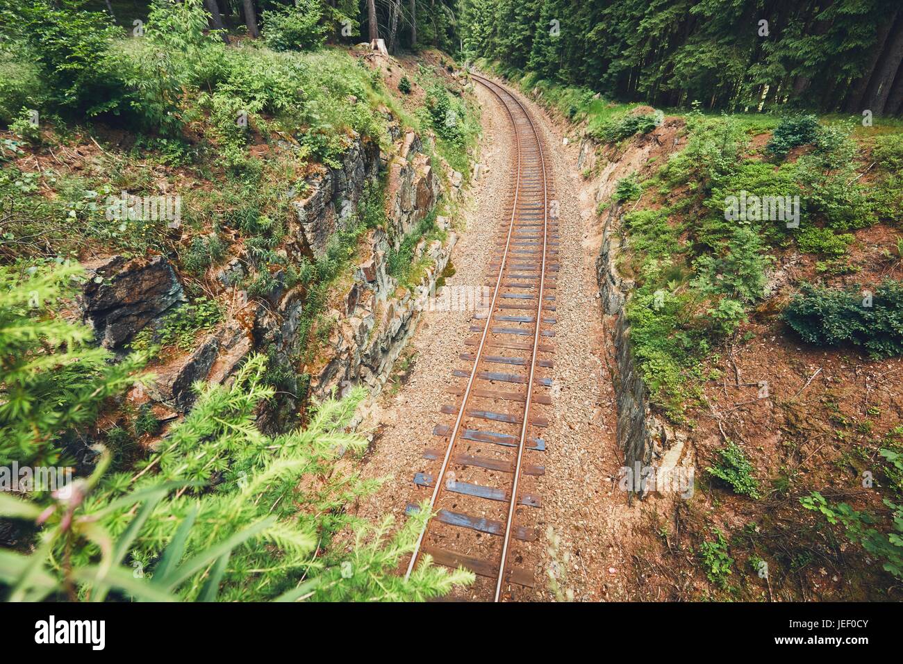 Old railroad track in the middle of the deep forest. Ore Mountains, Czech Republic Stock Photo